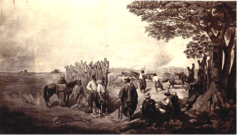 imagen 2025 05 29 090917271