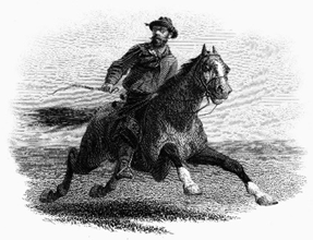 imagen 2025 05 29 091622719