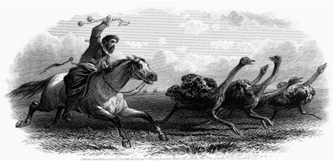 imagen 2025 05 29 091730061