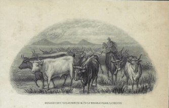 imagen 2025 05 29 092022144