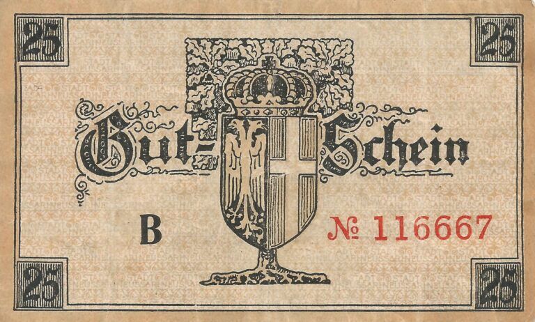 Notgeld - N 12 G N25.5g Reverso