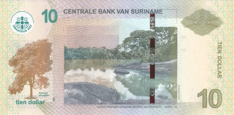 Surinam 38 Pick 163d Reverso