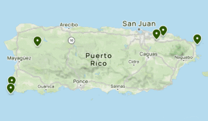 imagen 2025 08 13 105450116