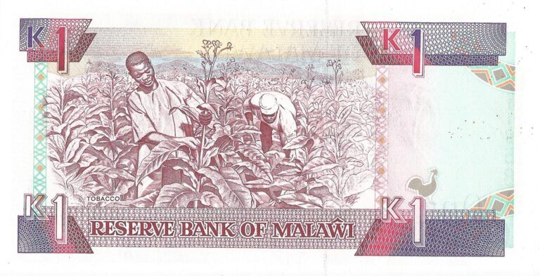 Malawi 6 Pick 23a Reverso